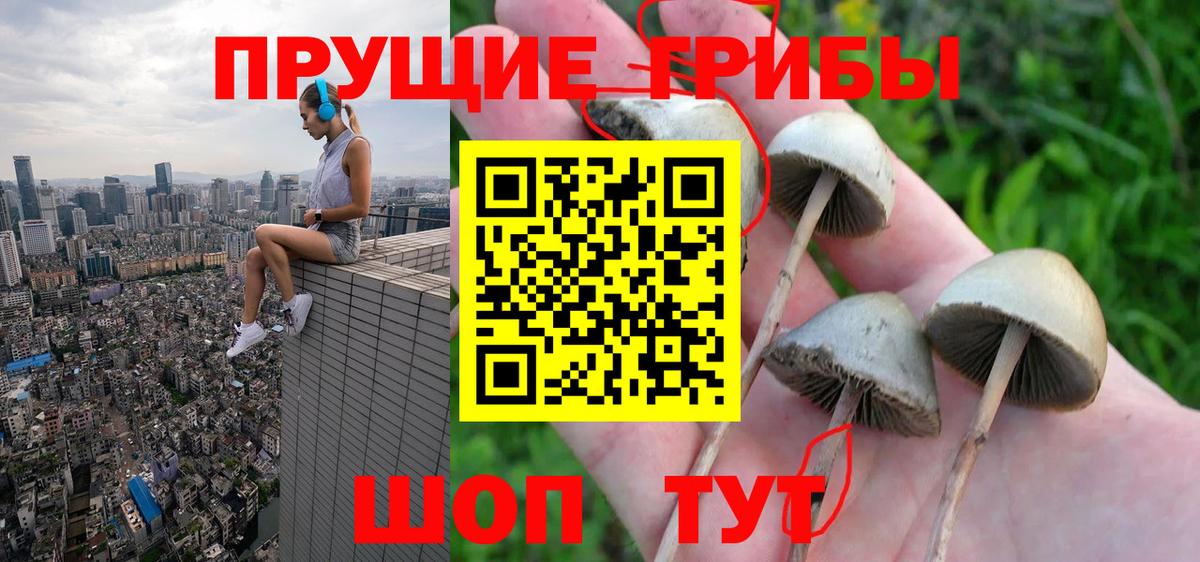 Псилоцибиновые грибы Magic Shrooms  Вход с VPN  Заволжье  Галлюциногенные грибы Psilocybe 