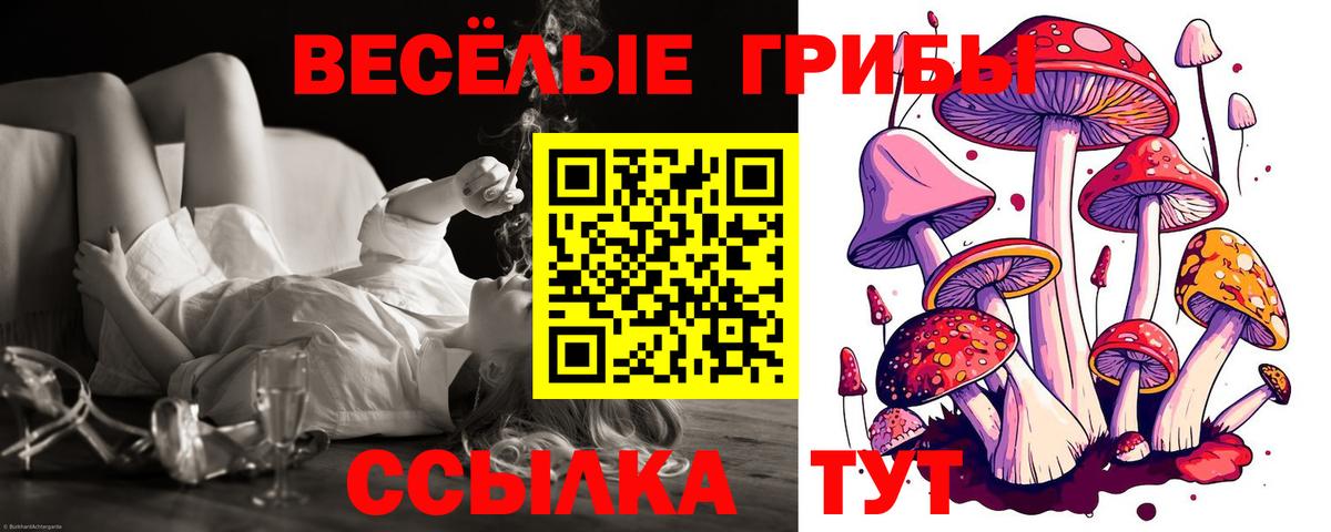 Псилоцибиновые грибы мицелий Заволжье
